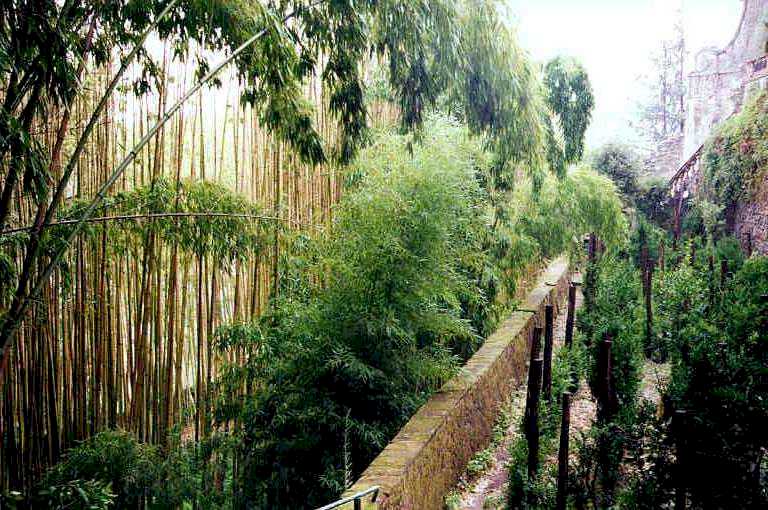 So Far From The Bamboo Grove Pdf Download